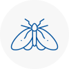 Moth Control Specialists In Daventry