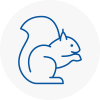 Daventry Rodent Removals